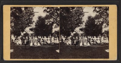 Kinderen en speeltuin, Oneida Community, New York State door American Photographer