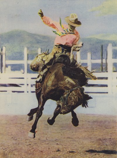 Cowboy temt een paard door American Photographer