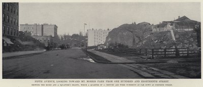Fifth Avenue, richting Mt Morris Park vanaf 118th Street door American Photographer