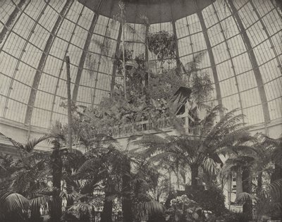 Interieur van de tuinbouwkoepel door American Photographer