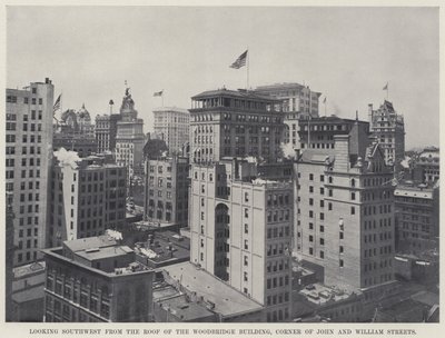 Kijkend naar het zuidwesten vanaf het dak van het Woodbridge Building, hoek van John en William Streets door American Photographer