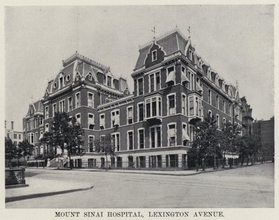 Mount Sinai Hospital, Lexington Avenue door American Photographer