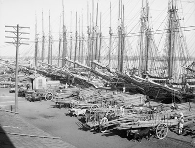 Muelle Tallapiedras, Havana, ca. 1904 door American Photographer