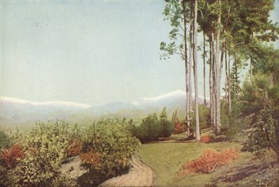 Old Baldy, vanaf Smiley Heights, Californië door American Photographer