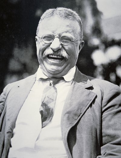 President Theodore Roosevelt, ca. 1917 door American Photographer