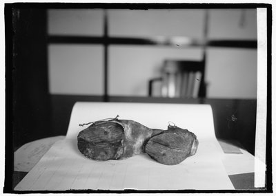 Prohibition Unit (Koeien Schoenen), 28 juni 1924 door American Photographer