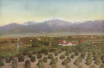 Redlands, Californië, Uitzicht vanaf Smiley Heights door American Photographer