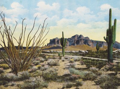 Superstition Mountain en woestijn, "Apache Trail" (kleurenfoto) door American Photographer