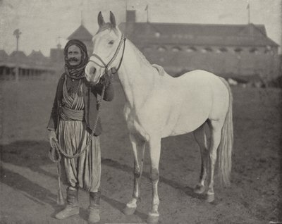Het Prijs Paard van de Bedoeïenen door American Photographer