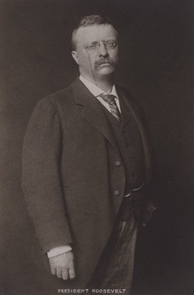 Theodore Roosevelt, 26e President van de Verenigde Staten, 1904 door American Photographer