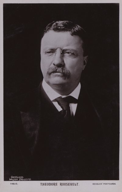 Theodore Roosevelt, Amerikaans politicus en 26e president van de Verenigde Staten (z/w foto) door American Photographer