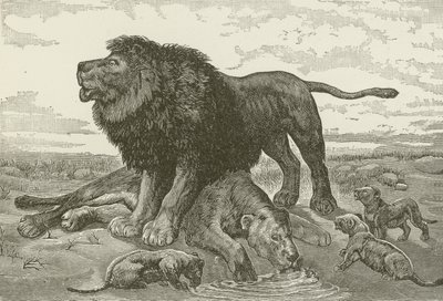 Een Treurzang in de Afrikaanse Woestijn, naar een schilderij van J N Nettleship door American School