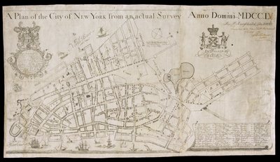 Een plan van de stad New York uit een feitelijke enquête door American School
