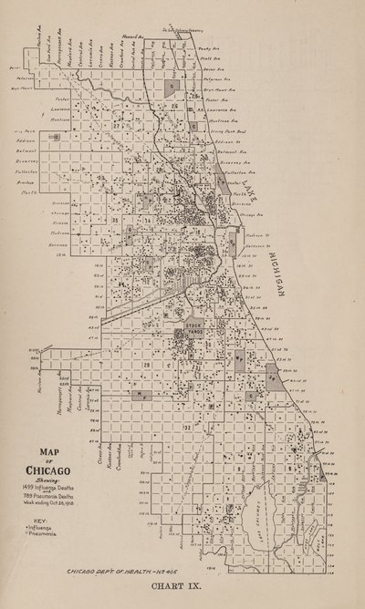Een rapport over een griepepidemie in de stad Chicago in de herfst van 1918 door American School