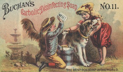 Advertentie voor Buchans Carbolic Disinfecting Soap No. 11, c.1880 door American School