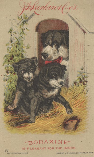 Advertentie voor J. D. Larkin & Cos Boraxine, 1882 door American School