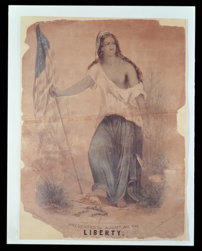 Amerikaanse Burgeroorlog Poster die Vrijheid vertegenwoordigt, gegraveerd door Hoffmann, 1870 door American School
