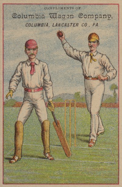 Amerikaans cricket door American School