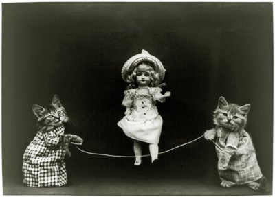 Kattennieuwsgierigheid, 1891 door American School