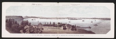 Stad New York, Brooklyn, Jersey City & Quarantaine Station op Staten Island, ca. 1850 (kleur litho) door American School