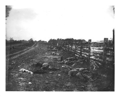 Geconfedereerde doden langs de westkant van Hagerstown Pike, Slag bij Antietam, 19 september 1862 door American School