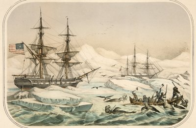 Bemanning van een walvisvaarder aangevallen door walrussen door American School