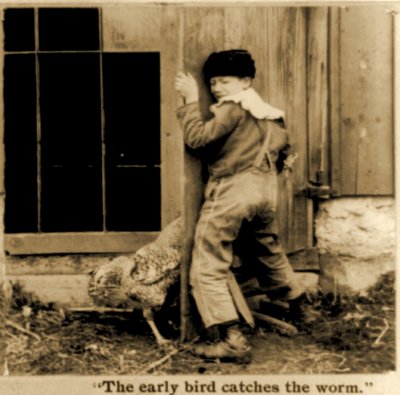 (detail) De vroege vogel vangt de worm stereoscopische kaart ca. 1900 door American School