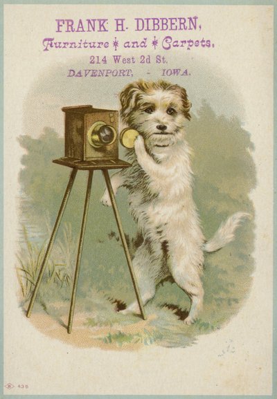 Hond met een camera door American School
