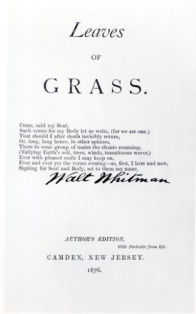 Frontispice van Leaves of Grass door Walt Whitman, gepubliceerd in 1876 door American School