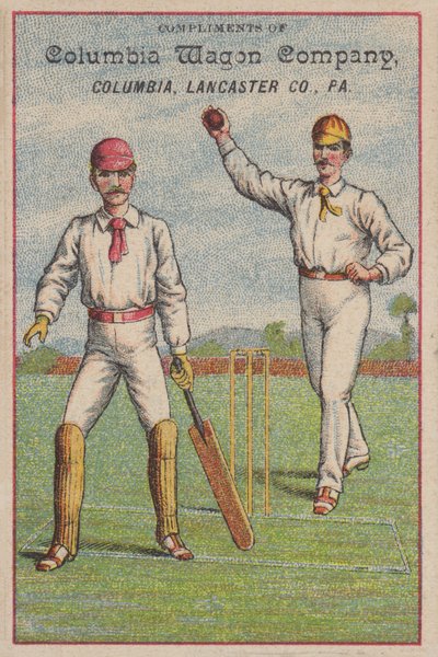 Spelletje cricket door American School