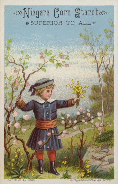 Meisje met Bos Bloemen op het Platteland door American School