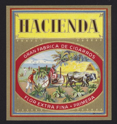 Hacienda door American School