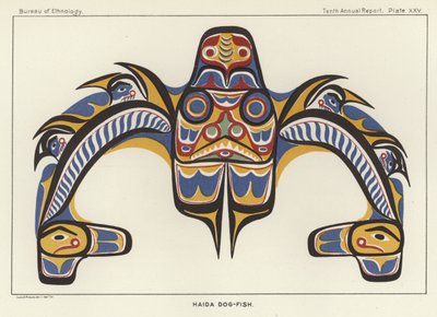 Haida Hondvis door American School