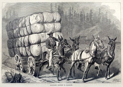 Katoen naar de markt brengen, uit One Hundred Years