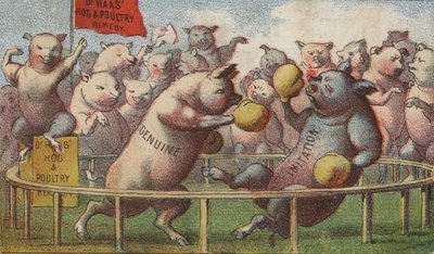 Varkens in de boksring door American School