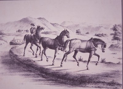 Paarden trekken een kanaalboot op het Erie-kanaal (gravure) door American School