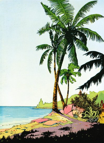 Illustratie van strandparadijs met palmbomen door American School