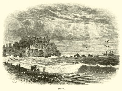 Jaffa door American School