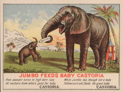 Jumbo voedt baby Castoria, advertentie voor Fletcher