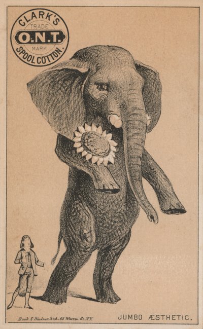 Jumbo
