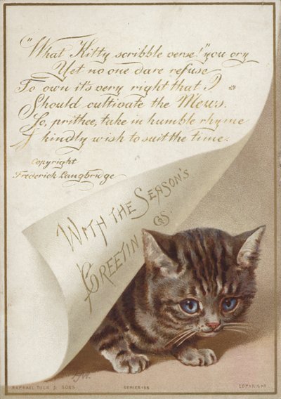 Kitten verstopt zich onder brief door American School
