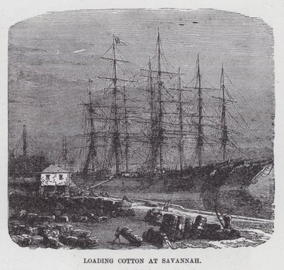 Katoen Laden in Savannah (gravure) door American School