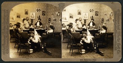 McCarthys Wake (Deel 1) door American School