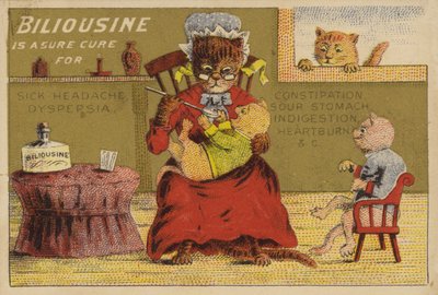 Medicijntijd voor de katten door American School