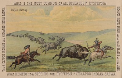 Inheemse Amerikanen die buffels jagen door American School