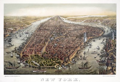 New York, 1873 door American School
