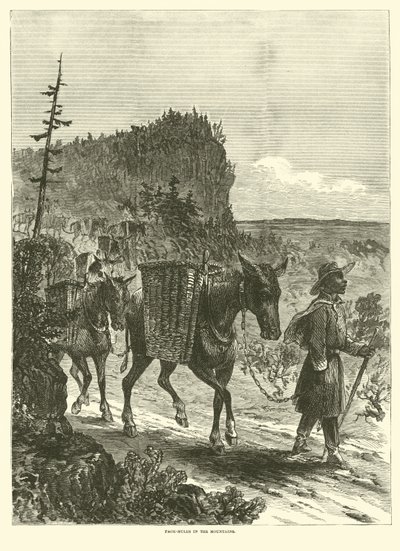 Pakmuilezels in de bergen, februari 1863 door American School