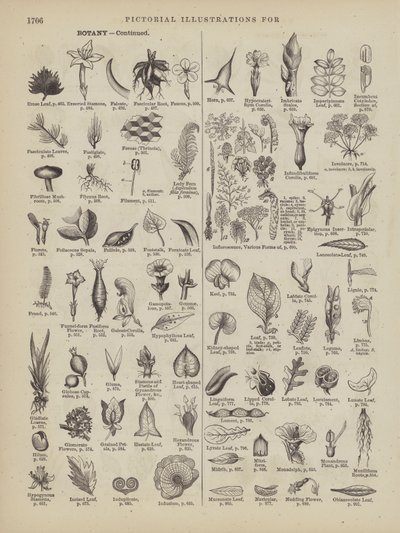 Pagina uit Websters Complete woordenboek (George Bell door American School