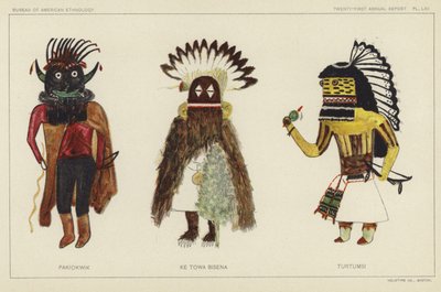 Pakiokwik, Ke Towa Bisena, Turtumsi (kleurenlitho) door American School