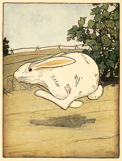 Peter stopte nooit met rennen, uit Het verhaal van Peter Rabbit, pub. 1916 kleurenlithografie, 1916 door American School
